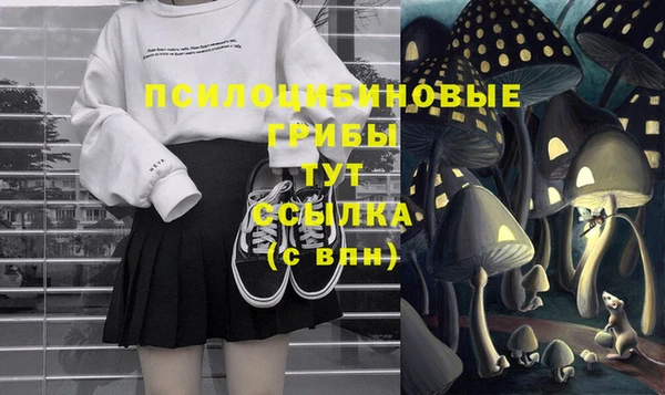 2c-b Беломорск