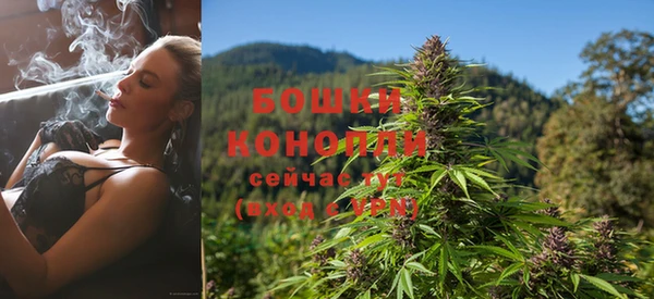 стаф Белокуриха