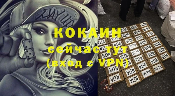 стаф Белокуриха