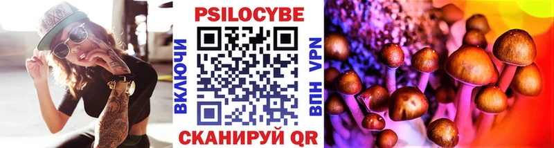 Купить  Отрадный  Галлюциногенные грибы Psilocybine cubensis 